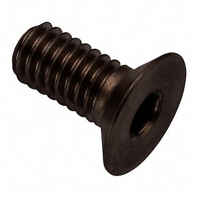 GRAINGER ZHF602M4X10BX Socket Head Cap Screw SS 2 1/2 mm Drive