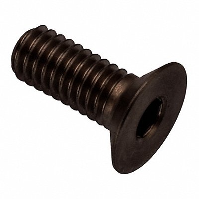 GRAINGER ZHF602M4X12BX Socket Head Cap Screw SS 2 1/2 mm Drive