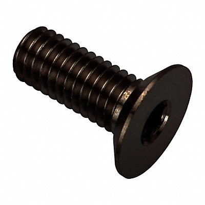 GRAINGER ZHF602M5X10BX Socket Head Cap Screw SS 3 mm Drive