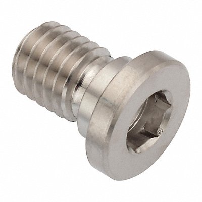 GRAINGER ZUL602M10X12 Socket Head Cap Screw SS 7 mm Drive