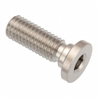 GRAINGER ZUL602M8X10 Socket Head Cap Screw SS 5 mm Drive