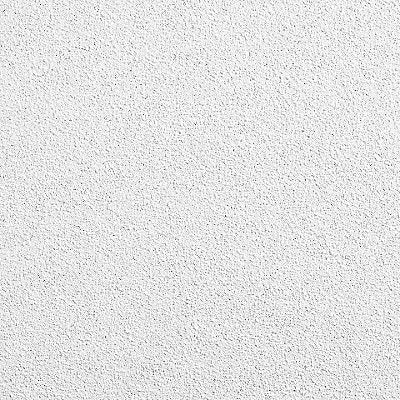 ARMSTRONG 1912A Ceiling Tile 24 in L 24 in W PK12