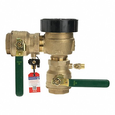 WATTS 2LF800M4QT Pressure Vacuum Breaker 2