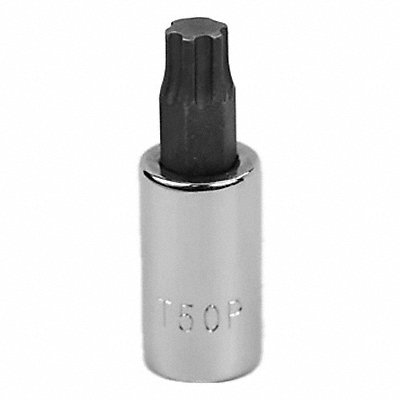 SK PROFESSIONAL TOOLS 45572 Socket Bit Steel 3/8 in TpSz T50
