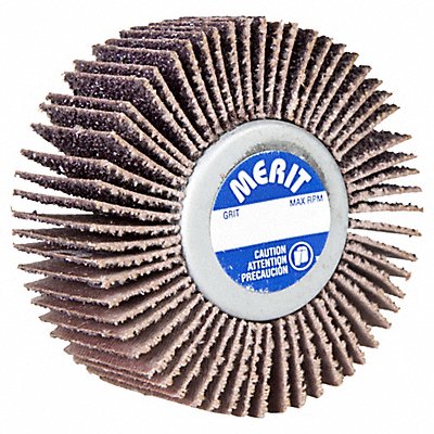 MERIT 8834134024 Flap Wheel Aluminum Oxide 2 1/2 dia