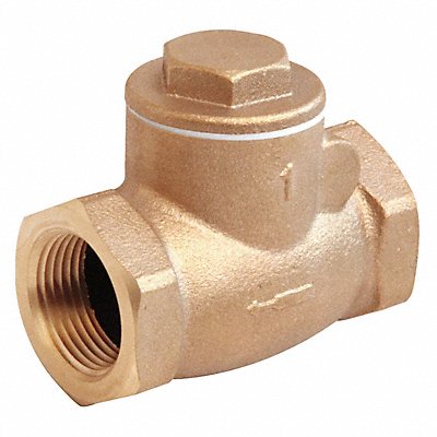 GRAINGER 10F295 Swing Check Valve 4.5 in Overall L
