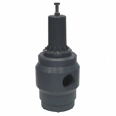 PLAST-O-MATIC PR300VPP Pressure Regulator 3 In 5 to 50 psi
