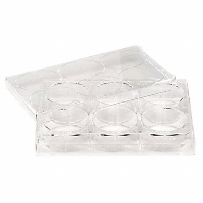 CELLTREAT 229506 Well Plate 17 mL PK100