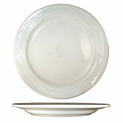 ITI NP22 Plate 8 1/8 Dia American White PK36