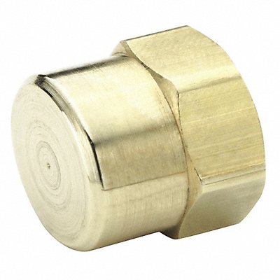 PARKER 213P4 Hex Head Cap Brass 1/4 in Pipe Size FNPT
