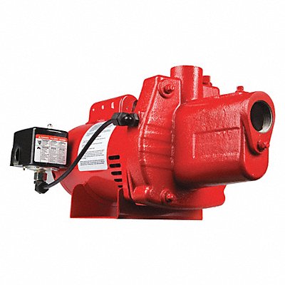 RED LION 602207 Jet Pump 3/4 HP Cast Iron 115/230V