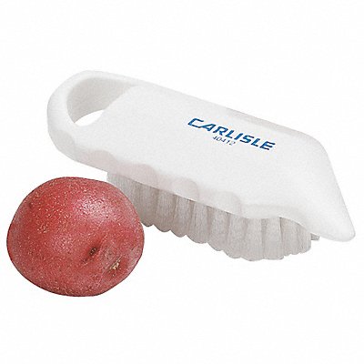 CARLISLE 4041202 Potato Brush 5 3/4 L Plastic Handle PK12