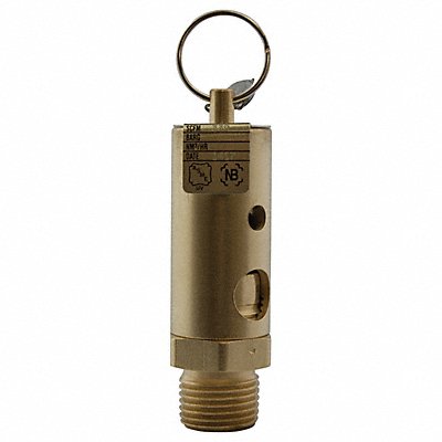 APOLLO 1650102 Adjustable Relief Valve 1/2 In 250 psi