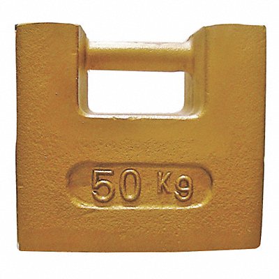RICE LAKE WEIGHING SYSTEMS 12803TR Weight Grip Handle 50kg Cast Iron ClassF