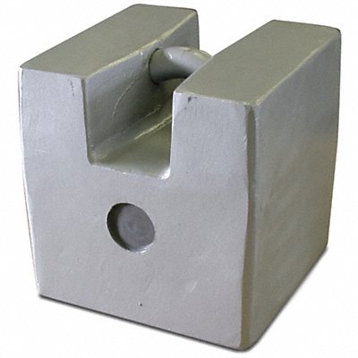 RICE LAKE WEIGHING SYSTEMS 12892 Weight Grip Hndle 250lb Cast Iron ClassF