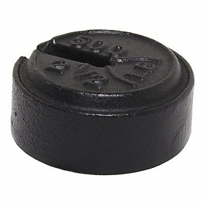 RICE LAKE WEIGHING SYSTEMS 10170 Weight Slotted 2.5 lb Cast Iron Class 7
