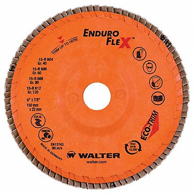 WALTER SURFACE TECHNOLOGIES 15R604 Flap Disc Coated 6 dia 10 200 RPM