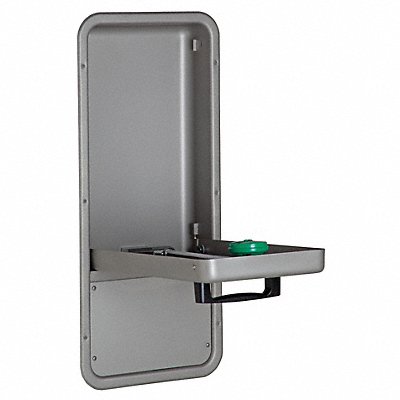 HAWS 7656WCC Eye/Face Wash Lab Pull Down Wall