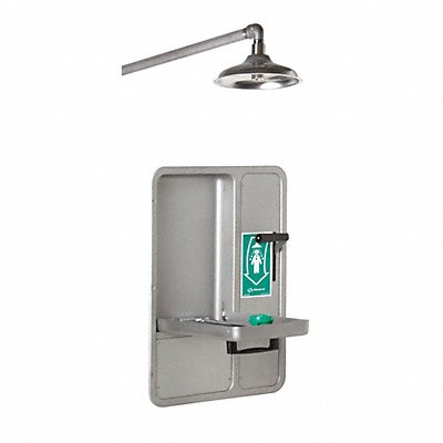 HAWS 8356WCW Shower/Eye Face Wash Lab Combination