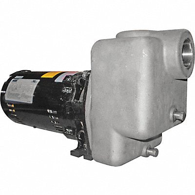 DAYTON 5GUP1 Self Priming Pump 3/4 HP 316 SS
