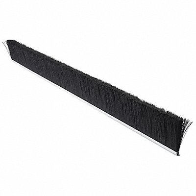 TANIS MB400648 Strip Brush 3/16W 48 In L Trim 3 In PK10
