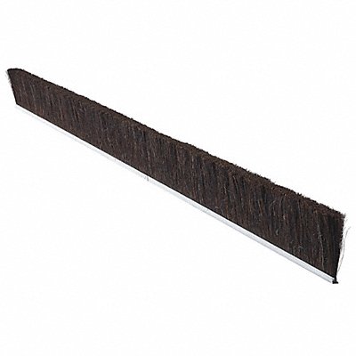 TANIS MB409472 Strip Brush 72 In L Overall Trim 3 In