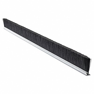 TANIS MB101224 Strip Brush 7/16W L24 In Trim 10 In PK10