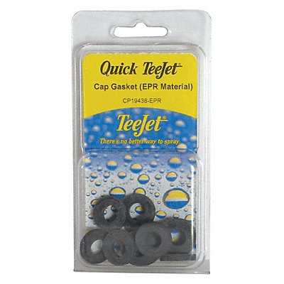 TEEJET PKCP19438EPR Seat Gasket PK12