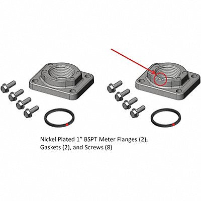 FILL-RITE KIT900PF1B Meter/Flange Kit 1 In BSPT Nickel
