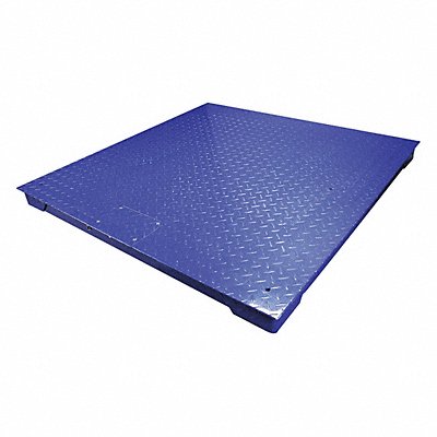 ADAM EQUIPMENT PT31210 Floor Platform Scale 48 in Depth 48 in W