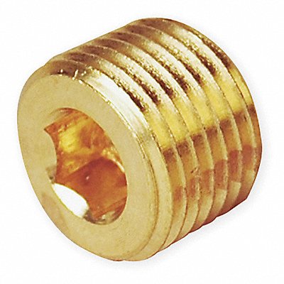 PARKER 2PHHB Hollow Hex Head Plug Bright Brass 1/8 in