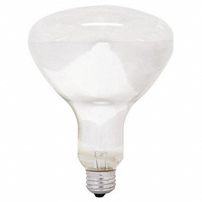 GE LAMPS 250R401 250 W R40 Medium Screw (E26)