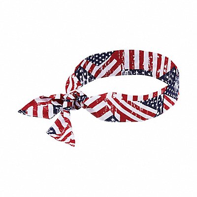 CHILL-ITS BY ERGODYNE 6700 Cooling Bandana Universal