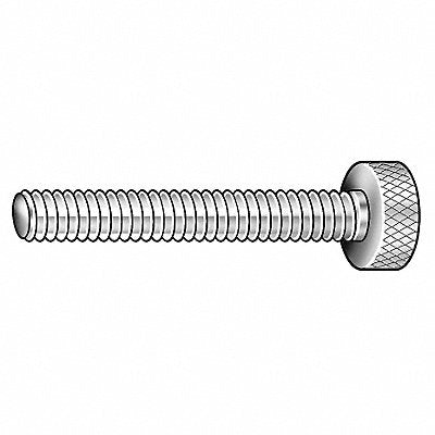 GRAINGER Z0692 Thumb Screw 3/8 -16 Full Thread SS 2 L