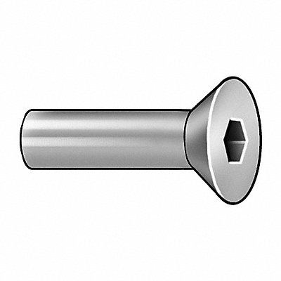 GRAINGER Z1652 Architect Bolt 3/4 L 18-8SS 1/4 -20