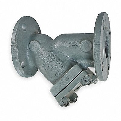 MUELLER STEAM SPECIALTY 3782SS-N Y Strainer, Stainless Steel, 3 in, Flanged, Perforated, 0.062 in, 740 psi