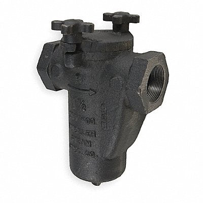 MUELLER STEAM SPECIALTY 2125 Basket Strainer, Cast Iron, Single, NPT, 2 in, 0.0620 in, 200 psi