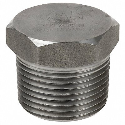 GRAINGER 1RTH8 Hex Head Plug 316 SS 1 in Pipe Size MNPT