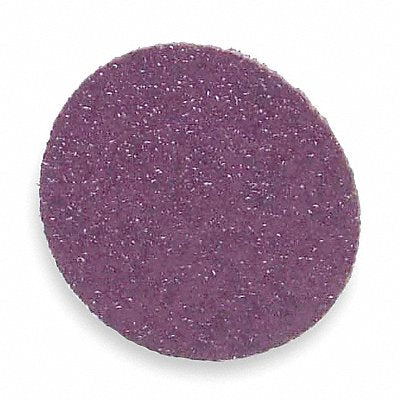 NORTON 66261121013 Quick Change Disc 1 1/2 in Dia TR PK100
