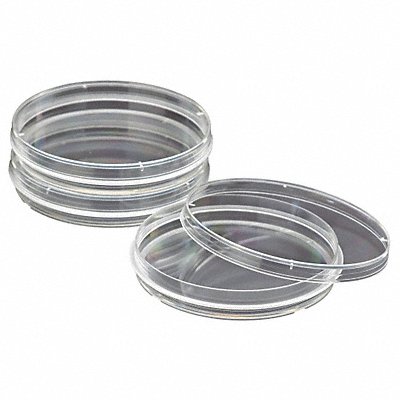 CELLTREAT 229653 Petri Dish 150 x 20 mm 28mL PK100