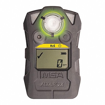 MSA 10153984 Gas Detector Hydrogen Sulfide