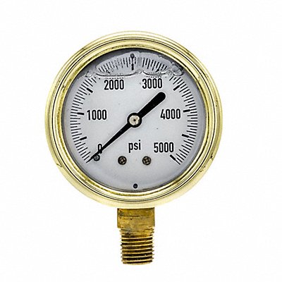PIC GAUGES 601L254R Pressure Gauge 1/4 in NPT 2-1/2 in
