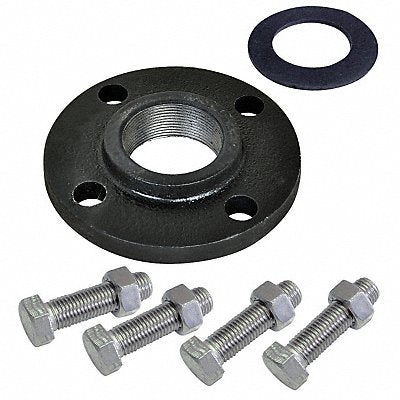 DAYTON 21R870 Booster Pump Flange Kit 1-1/4 in NPT CI