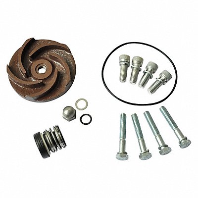 DAYTON 21TG36 Pump Repair Kit For 2ZWN9A