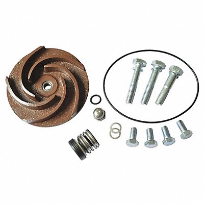 DAYTON 21TG45 Pump Repair Kit For 2ZWP9A 2ZWR1A