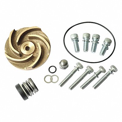 DAYTON 21TG49 Pump Repair Kit For 2ZWR4A