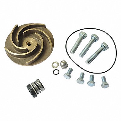 DAYTON 21TG60 Pump Repair Kit For 2ZWT6A 2ZWT7A