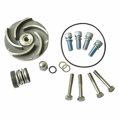 DAYTON 21TG62 Pump Repair Kit For 2ZWT8