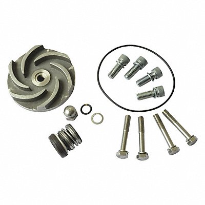 DAYTON 21TG63 Pump Repair Kit For 2ZWT9 2ZWU1