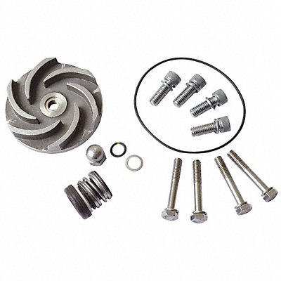 DAYTON 21TG65 Pump Repair Kit For 2ZWU2 2ZWU3